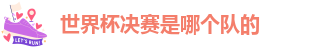 世界杯决赛是哪个队的